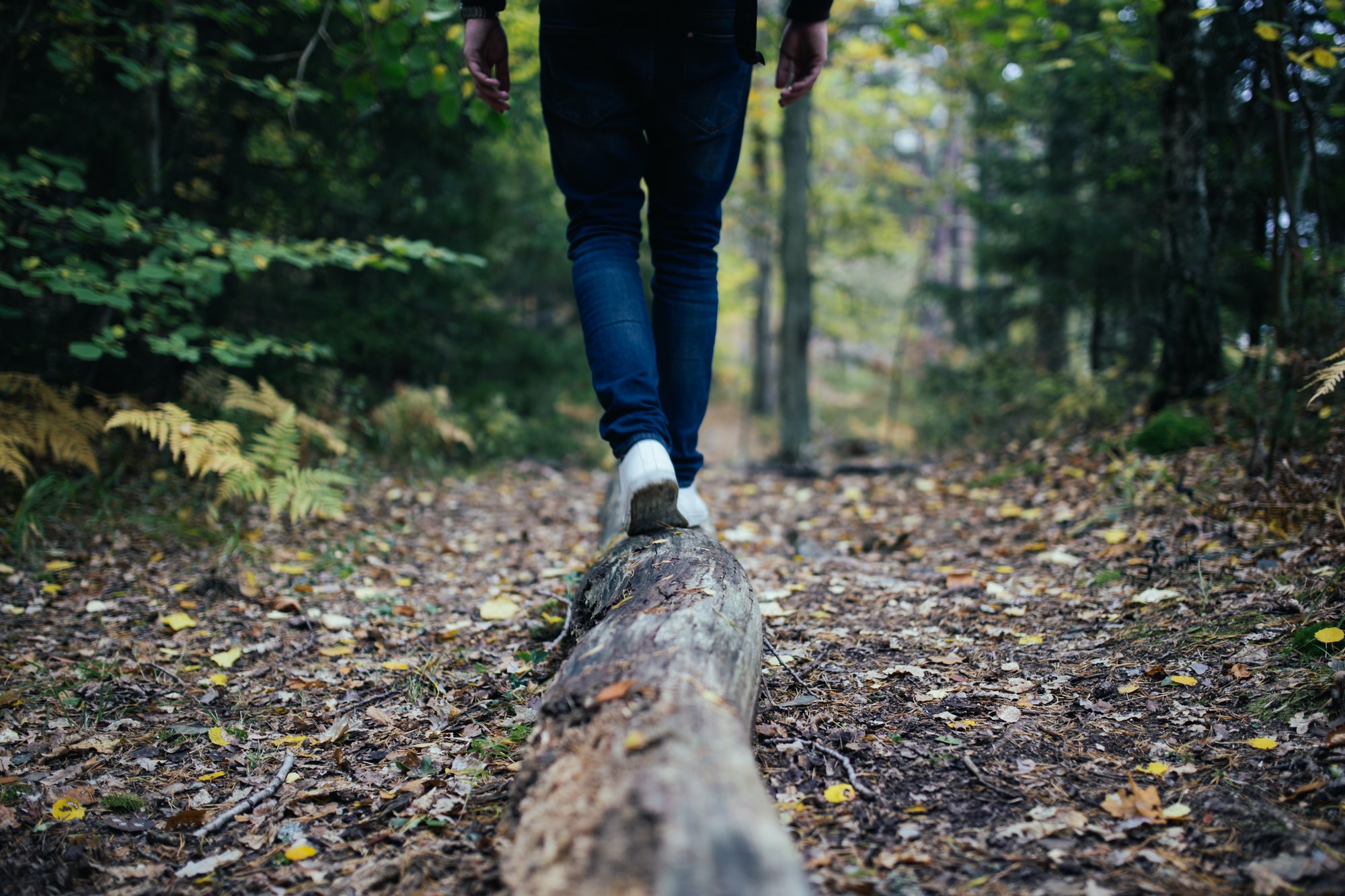 Hiking - Soft Version